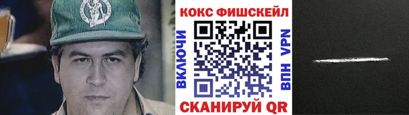 КОКАИН FishScale  мега как зайти  Бавлы 