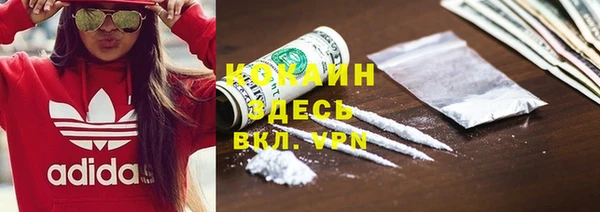 PSILOCYBIN Абаза