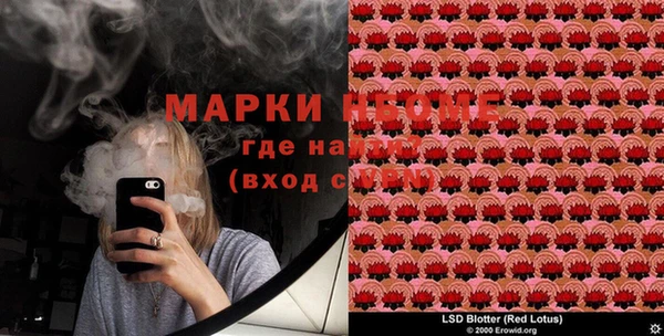 PSILOCYBIN Абаза