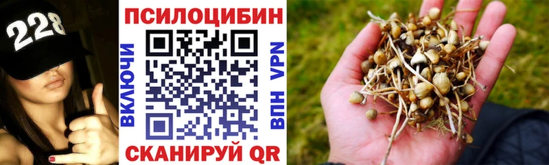 OMG ссылки  Бавлы  Галлюциногенные грибы Psilocybe  как найти закладки 